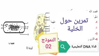 تمارين حول الخلية وحدة بنيوية 2 ثانوي