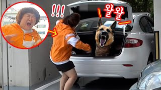 SUB) 아무도 없는 차 트렁크를 열었는데 갑자기 사나운 개가 미친듯이 짖는다면...? (feat.걸깝스,잼잼다방) ㅋㅋㅋ 다들 리액션부자들이네ㅋㅋㅋㅋㅋ