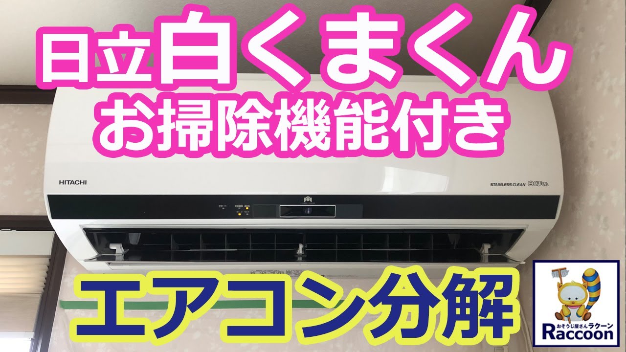 日立のしろくまくん 昨年夏に業者さんが内部洗浄してます。 - 季節 