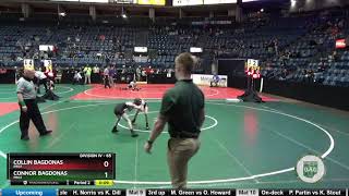 Collin Bagdonas vs Connor Bagdonas 2021 GS State D4 65 Champ Semi Final