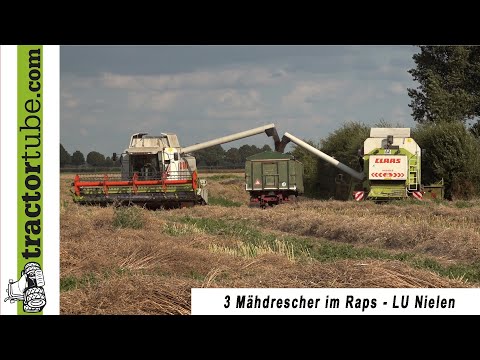Rapsernte mit 3 Dreschern - LU Nielen