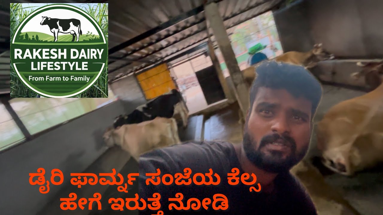 🐄 Namma Dairy Farm Life | Daily Routine Full Video | Fresh Milk Business 💪#viral 