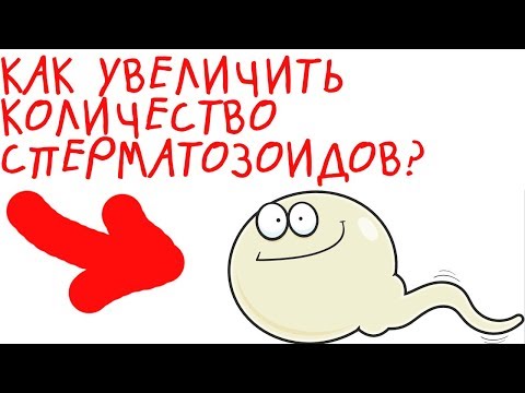 Вопрос: Как увеличить количество сперматозоидов естественным путем?