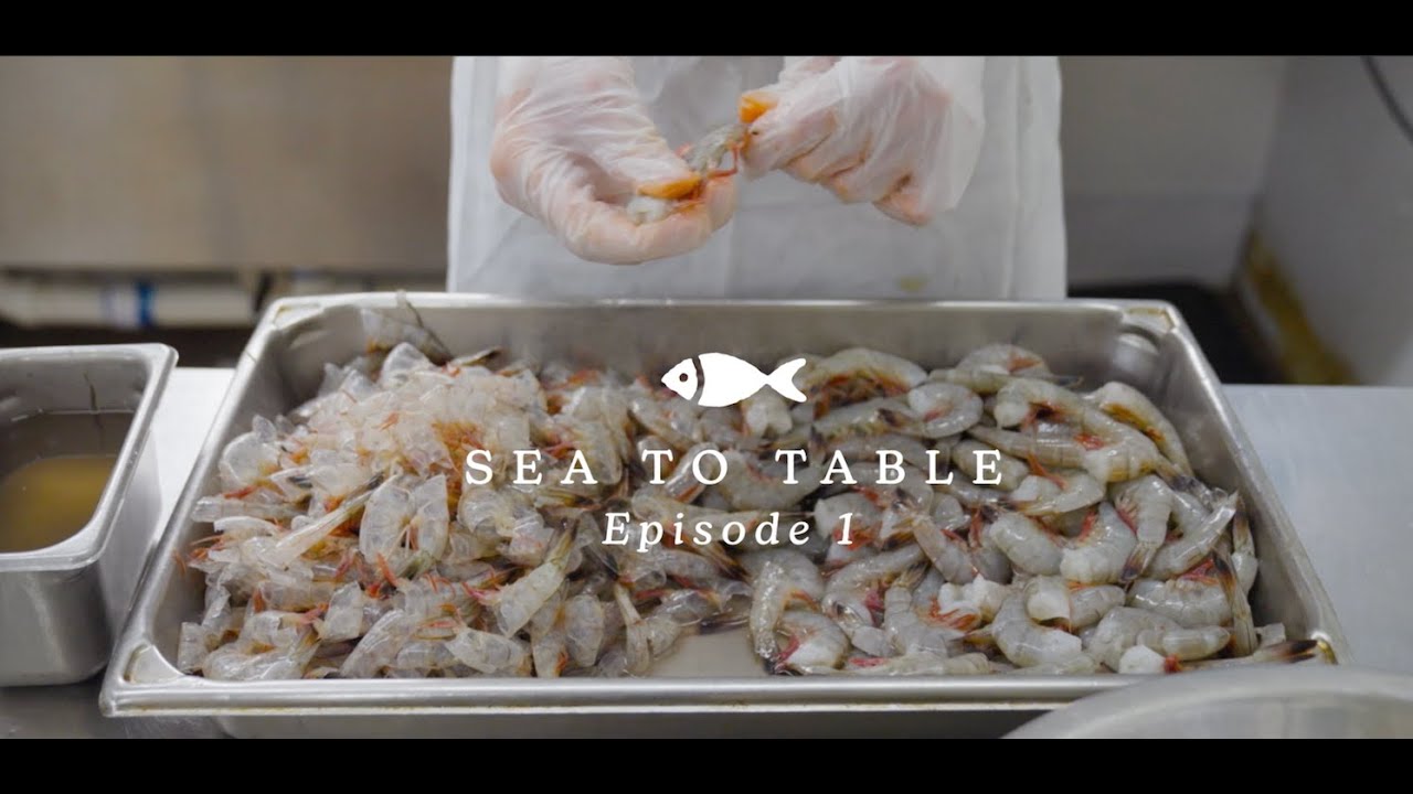 Внешняя грань | Эпизод 1 — От моря к столу