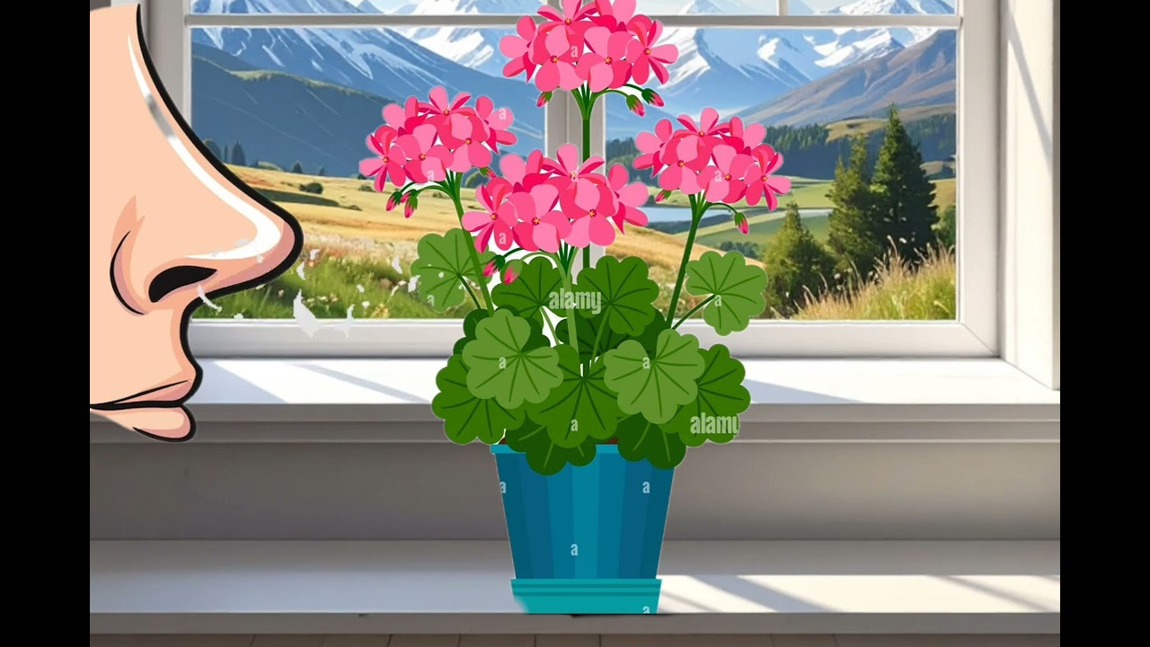 Дихальна вправа 