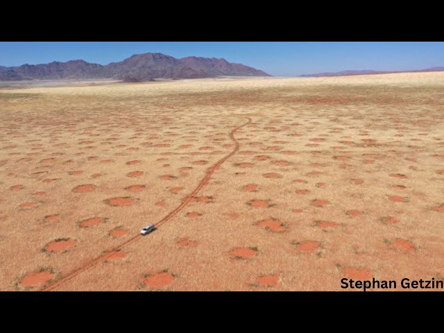 Is the Mystery of Namibia's Fairy Circles Finally Solved? 