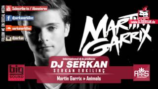 Martin Garrix - Animals Remix (Serkan Erkılınç) www.DJSERKAN.com Resimi