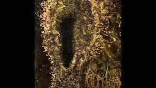 Replicant - Vessel Of Iniquity