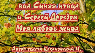 Синяя Птица- Моя Любовь Жива  -Караоке(Ремикс) Для Низк.  Голоса