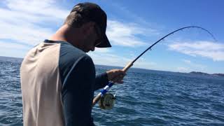 Famous IMG 8449 Profile