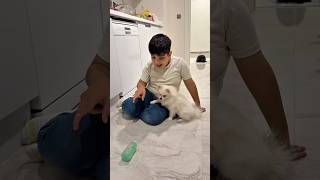 Hasan Sönmez Yeni ￼