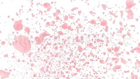 Download 桜花びらフリー素材 Mp4 Mp3