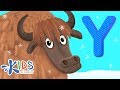 Understanding the Letter Y
