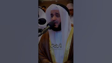 سورة ال عمران مشاري العفاسي #مشاري_العفاسي #سورة_آل_عمران #القرآن #misharyrashidalafasy #quran#الله