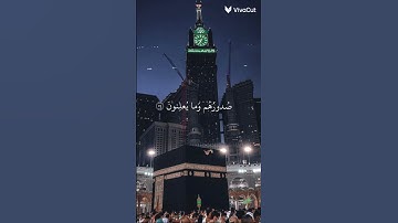 القران الكريم ❤️