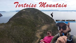 Tortoise Mountain