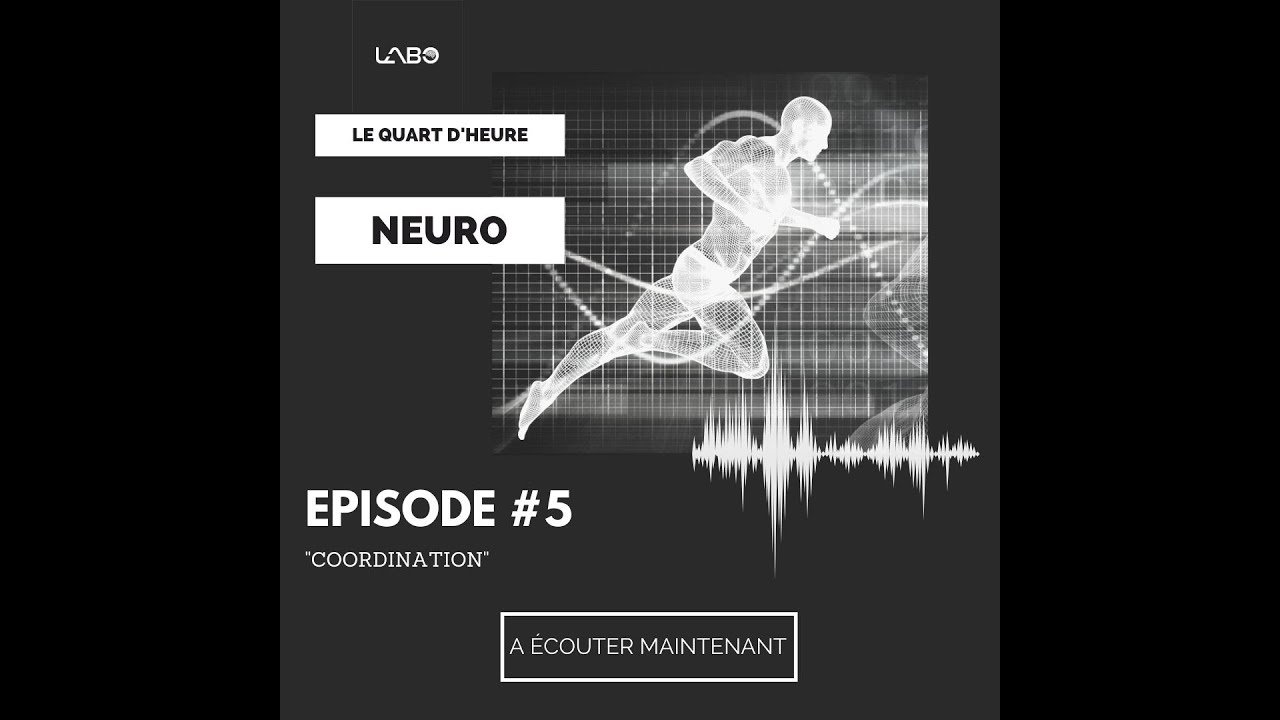 Exercices de coordination motrice : la logique neuro, de l'enfant à l'athlète de combat
