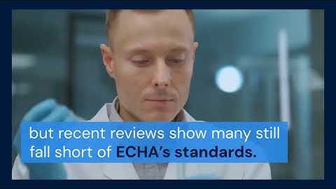 Are Current SDS Documentation Methods Meeting ECHA Expectations?