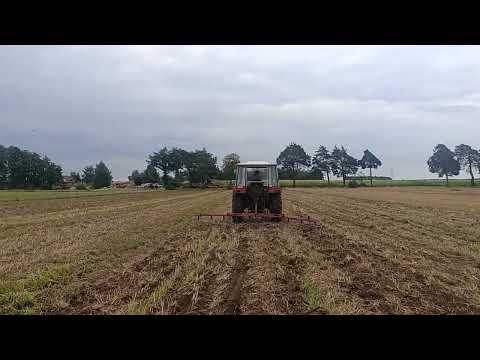 Yesterday's harrowing