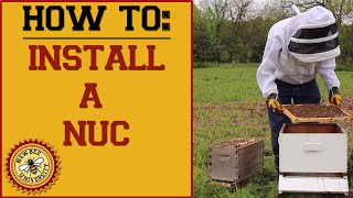 How to Install a Nuc (Nucleus Colony)