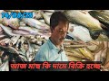 14/08/25 আজ মাছ কি দামে বিক্রি হচ্ছে সাদেক খান মাছ বাজার #fishing #ফিশিং #fish 