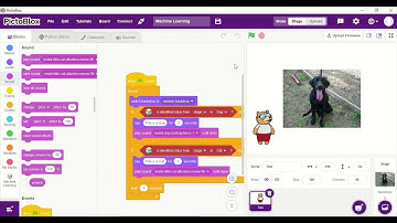 Animal Classifier in Pictoblox