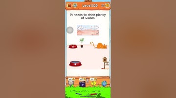 Braindom 2 Level 320 Walkthrough Solution