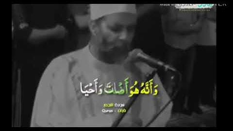 تلاوه رائعه للشيخ حسن صالح // اجمل حالات واتس دينيه 🌹