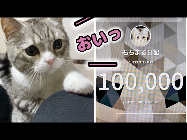 まるもち⑅︎◡̈︎*です まるもち⑅︎◡̈︎*です まるもち (@marumochimocchi) / X