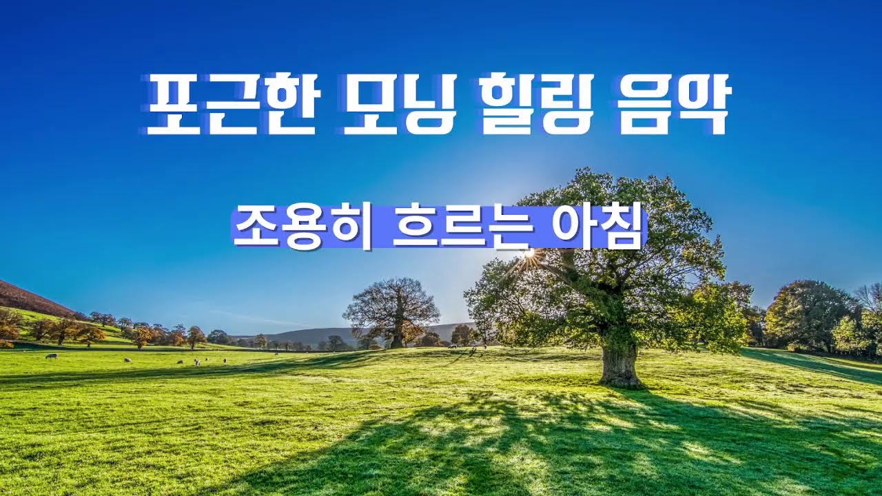 🌿포근한 모닝 힐링 음악  Calm Morning Sarangbang for Relax & Focus