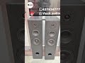 Doodgesound 3 way Painted box / hires Audio Speaker #hifispeaker #hify #speakerbox #painted #box