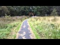 Springburn Park not being maintained by GCC Part 1