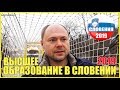 Высшее образование в Европе. Словения (Шенген)