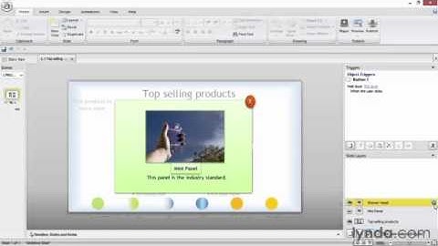 Articulate Storyline Advanced Techniques lecture 10