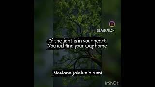 words of wisdom #maulanarumi #lightwithin