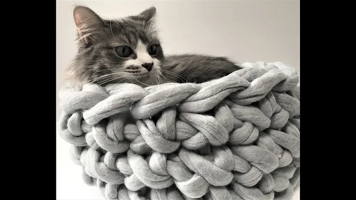 Quick and Easy Hand Crochet Cat Bed in 30 Minutes