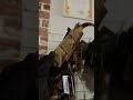 Відшили нову партію підсумків