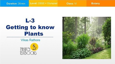 L 3 Getting To Know Plants | Class 6 Crash Course | Vikas Rathore | TTb