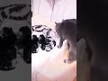 روح قلبي ام العيال اللي دايب فيها مهاما يطول المطال انا اموت عليها روح قلبي ام العيال اللي دايب فيها مهاما يطول المطال انا اموت عليها