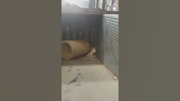 Paper Core Shredder: unstoppable shredding power for piles of paper!