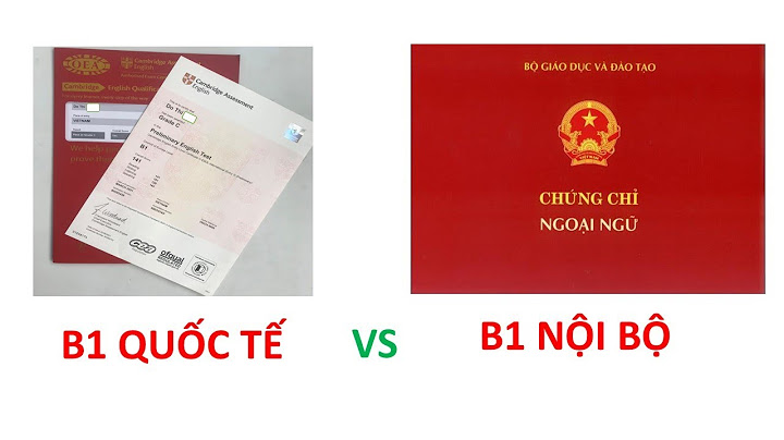 Bản tin nội bộ tiếng anh là gì năm 2024