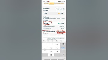 SCF : HOW to MORTGAGE YOUR SCF and WHY