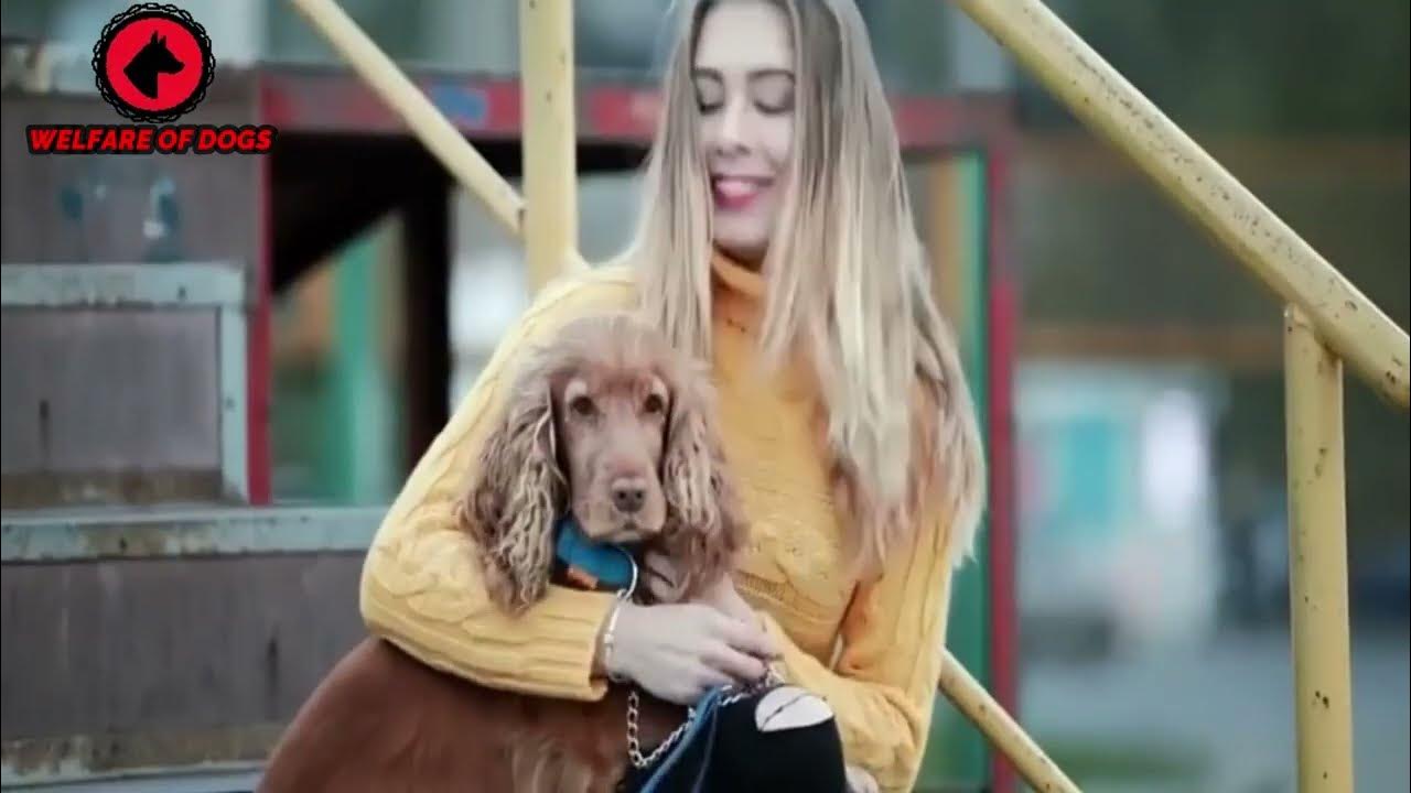 The 10 Most Jealous Dog Breeds YouTube