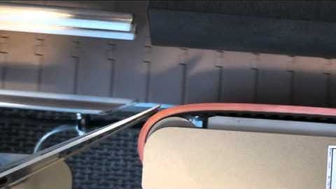 Training for Model 1000: Timing of Label Delay