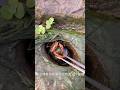 “Love Boost Challenge 💖🔥 #Trending”“Instant Like Magnet 💥 #Viral” #BoostLikes