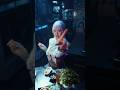 STUTS, Julia Wu - Tokyo Lights Remix feat. Elle Teresa (Official Music Video)Directed by Spikey John