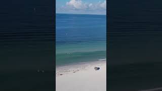 Sarasota Lido beach🏡