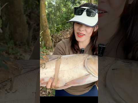 Câu cá mè hồ bán thiên nhiên #vyhanfishing #caucathiennhien #caucavatrainghiem #cauca #fishing