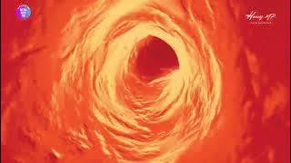 VIET VINA HOUSE 2023 - 2024 HoangMP Mix