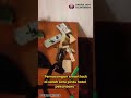 " PEMASANGAN SMART LOCK DISALAH SATU HOTEL DI PEKANBARU "